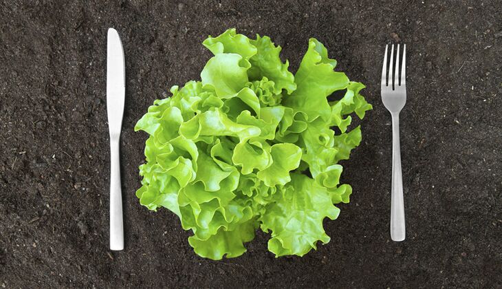 Salatsorten in der Übersicht | Women's Health